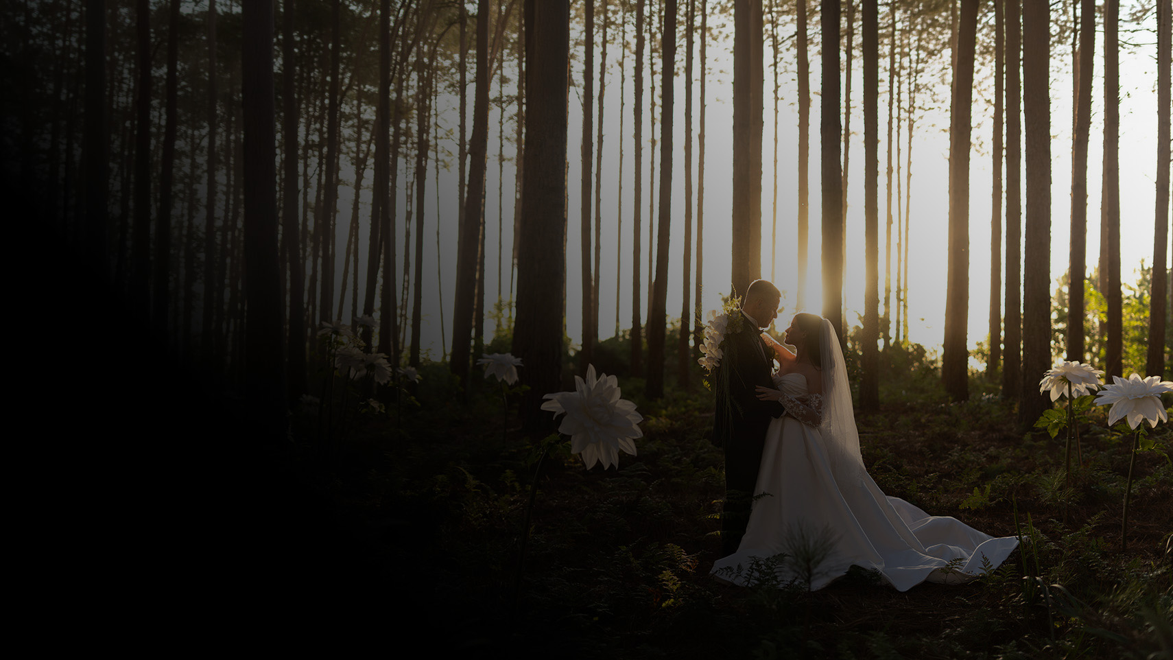 An outdoor wedding ceremony beneath an olive grove at golden hour