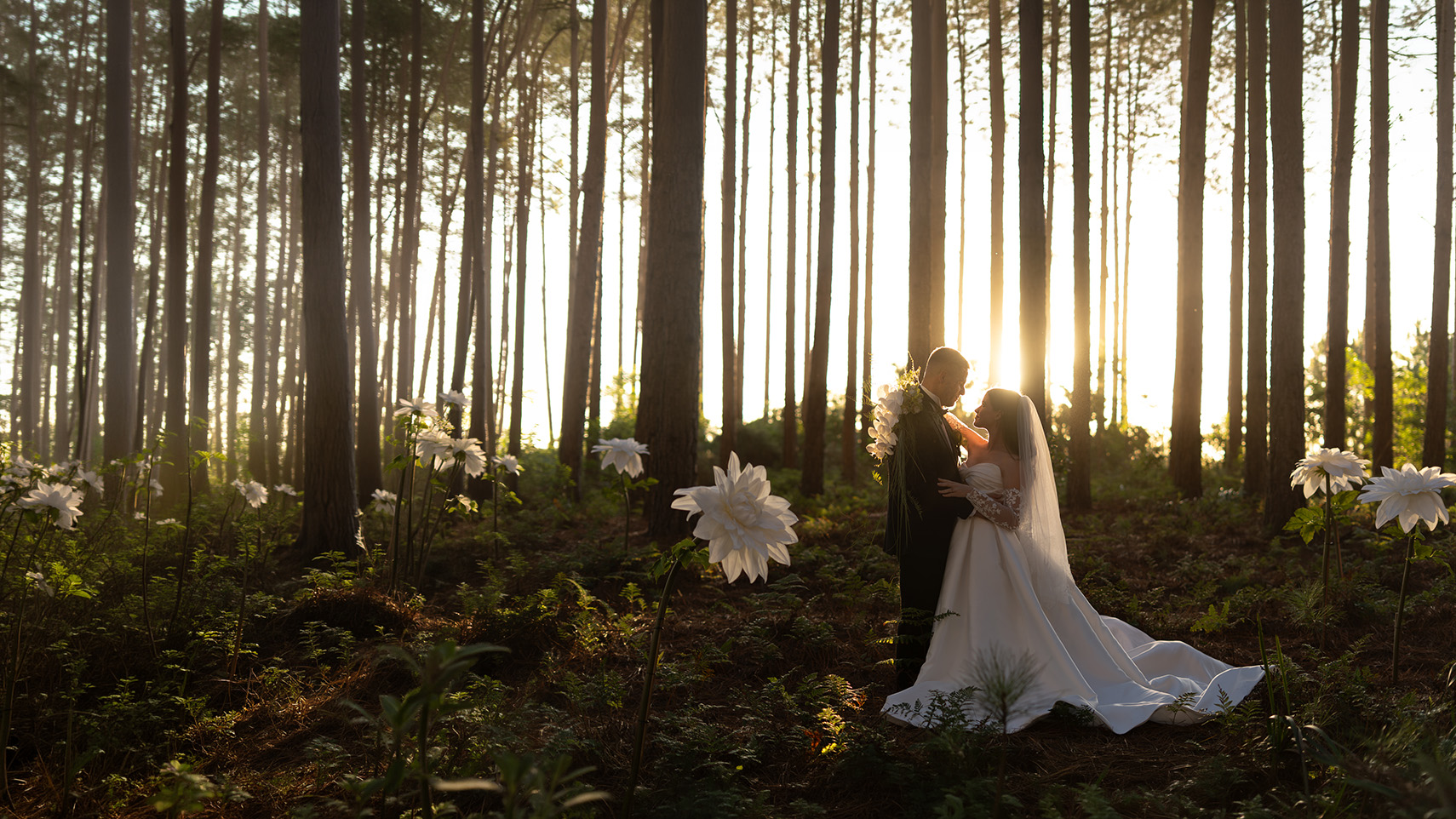 An outdoor wedding ceremony beneath an olive grove at golden hour