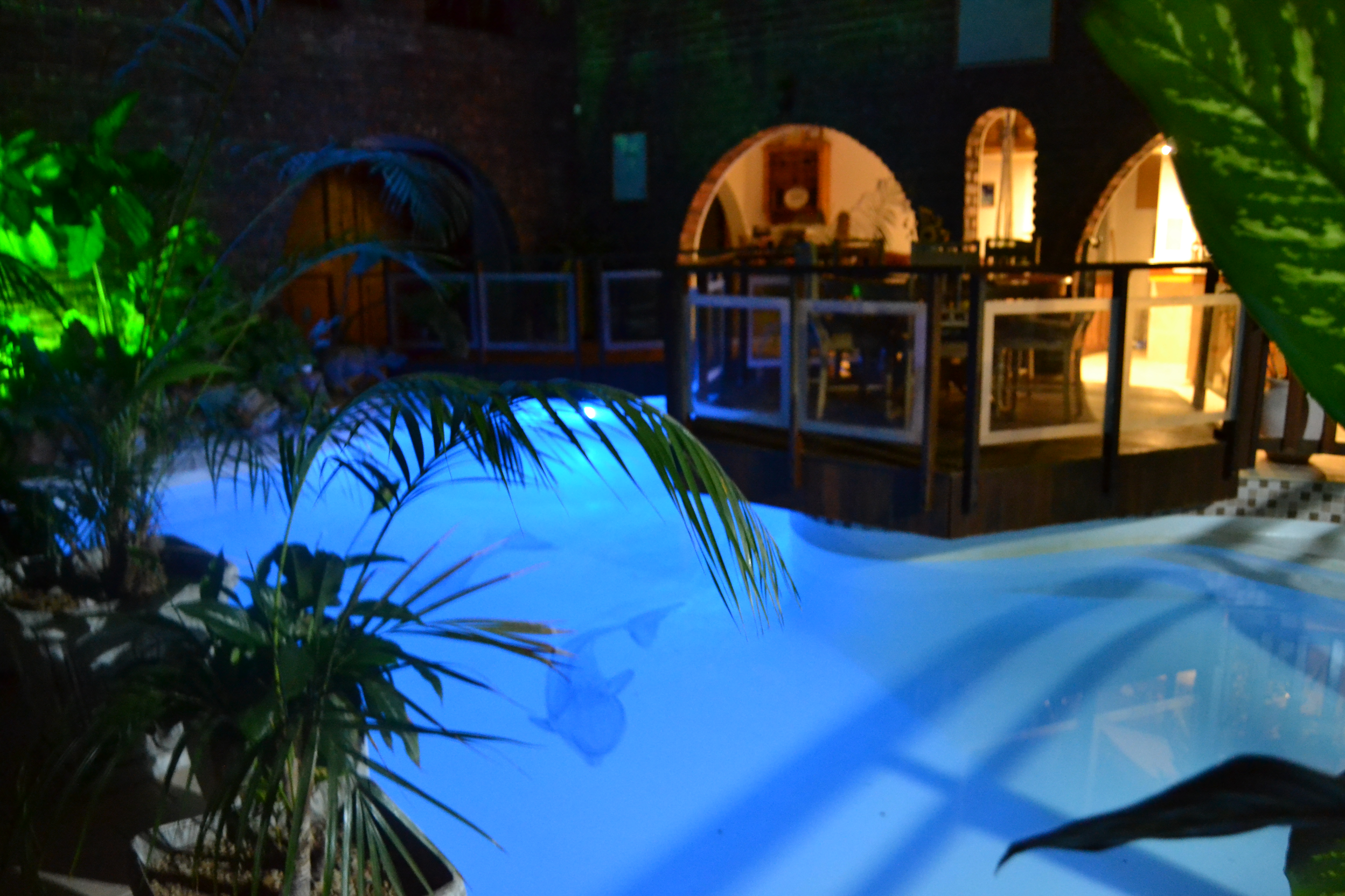 Dolphin View Guesthouse