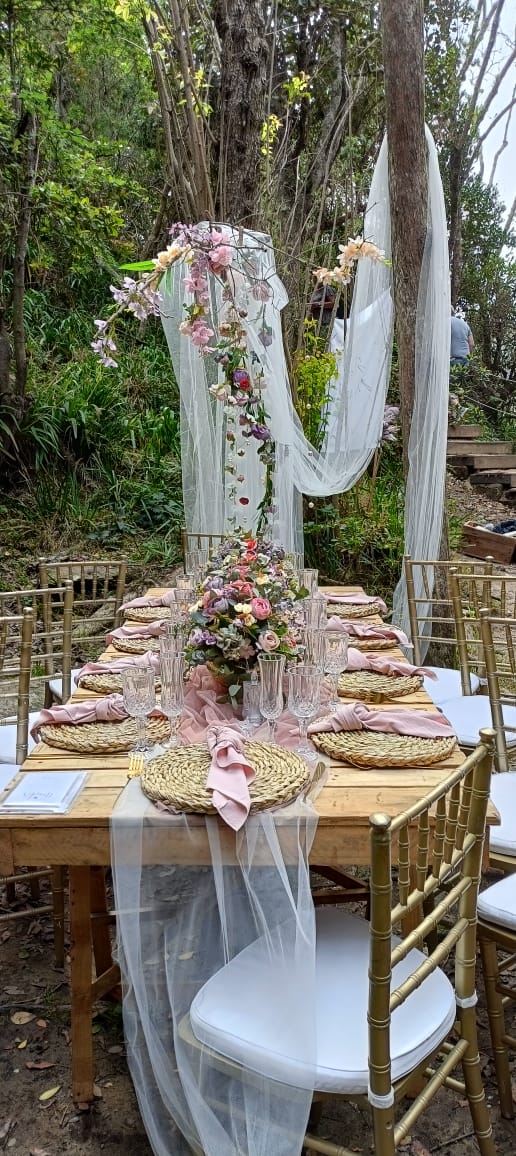 Tarika Event Planning and Décor gallery 2