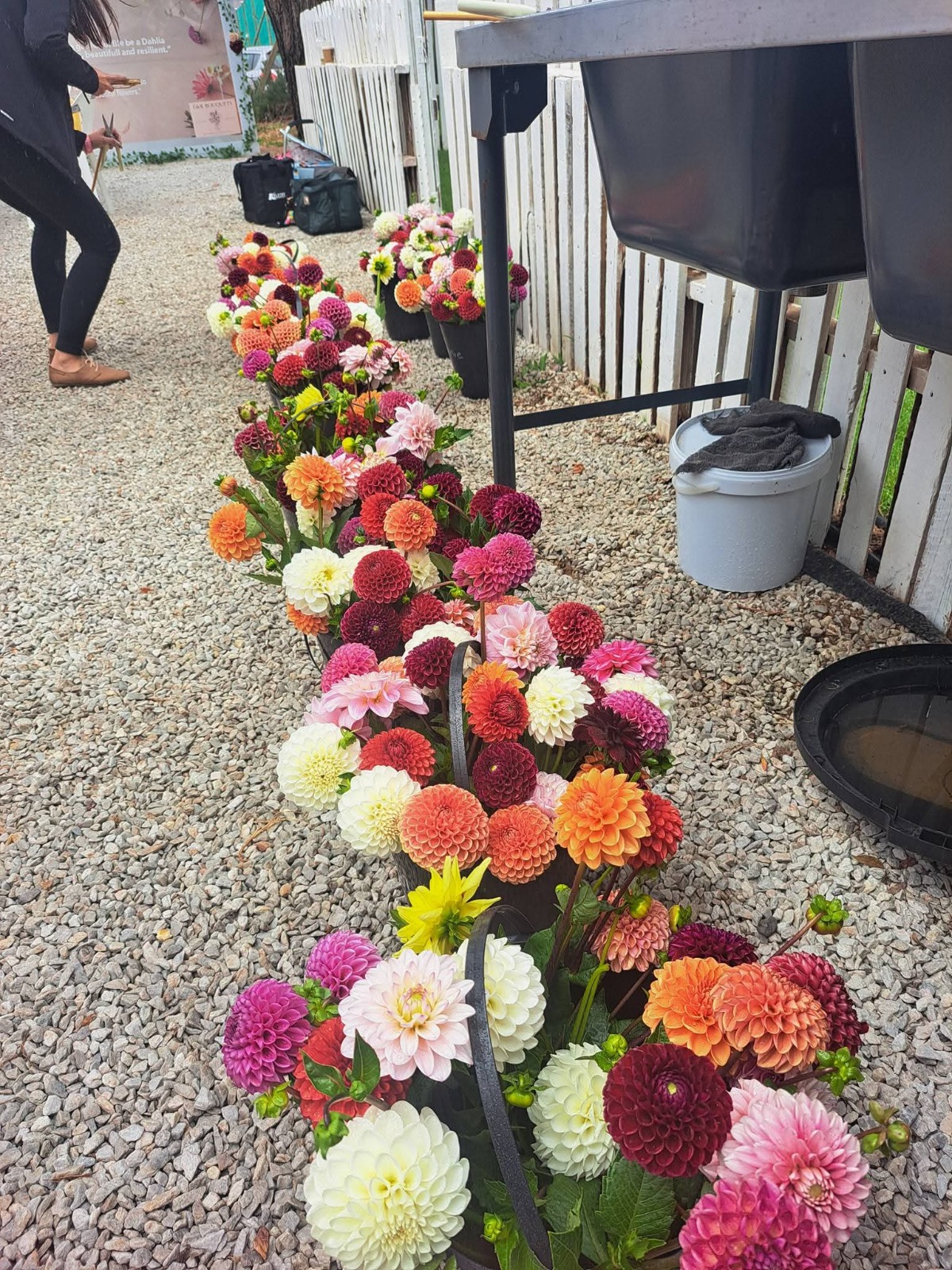 G&K Bouquets gallery 3