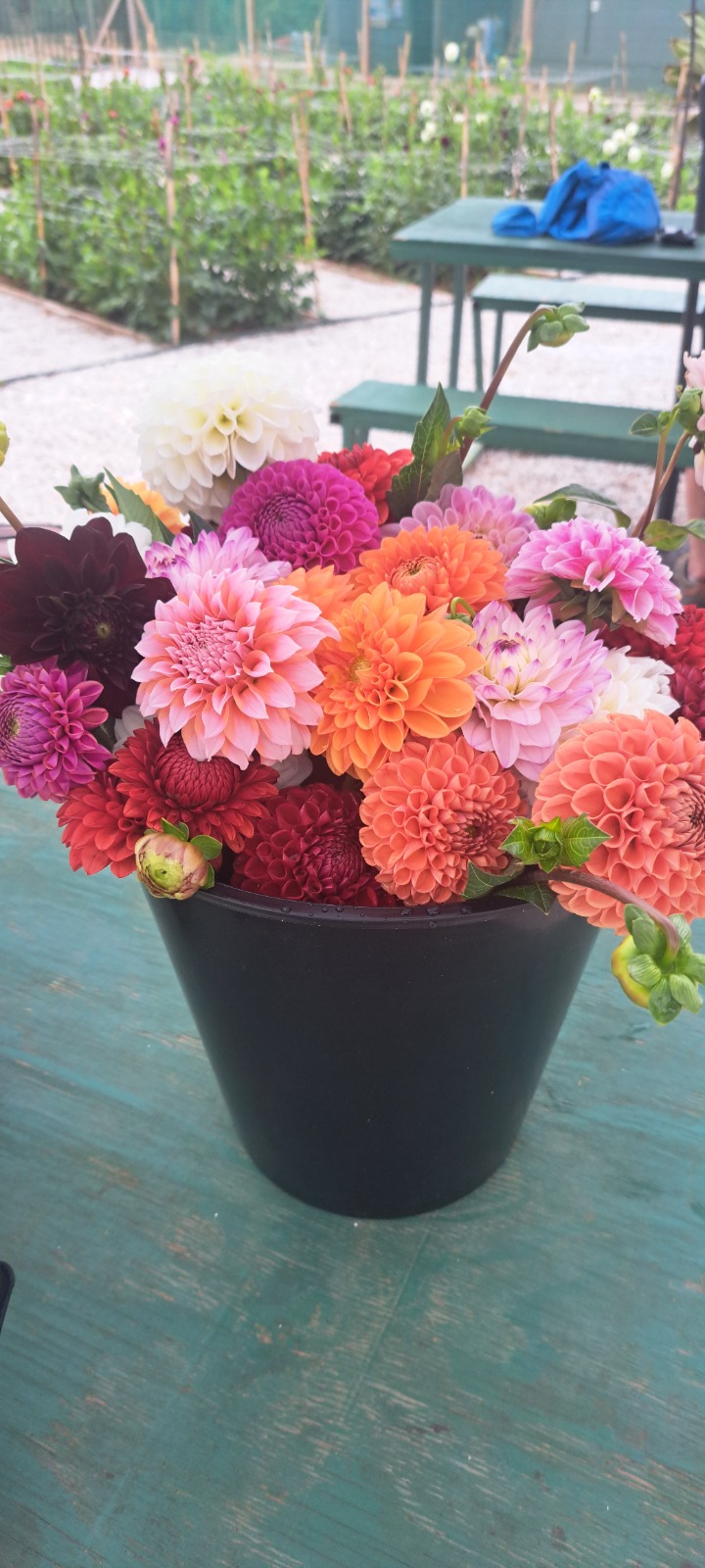 G&K Bouquets gallery 13