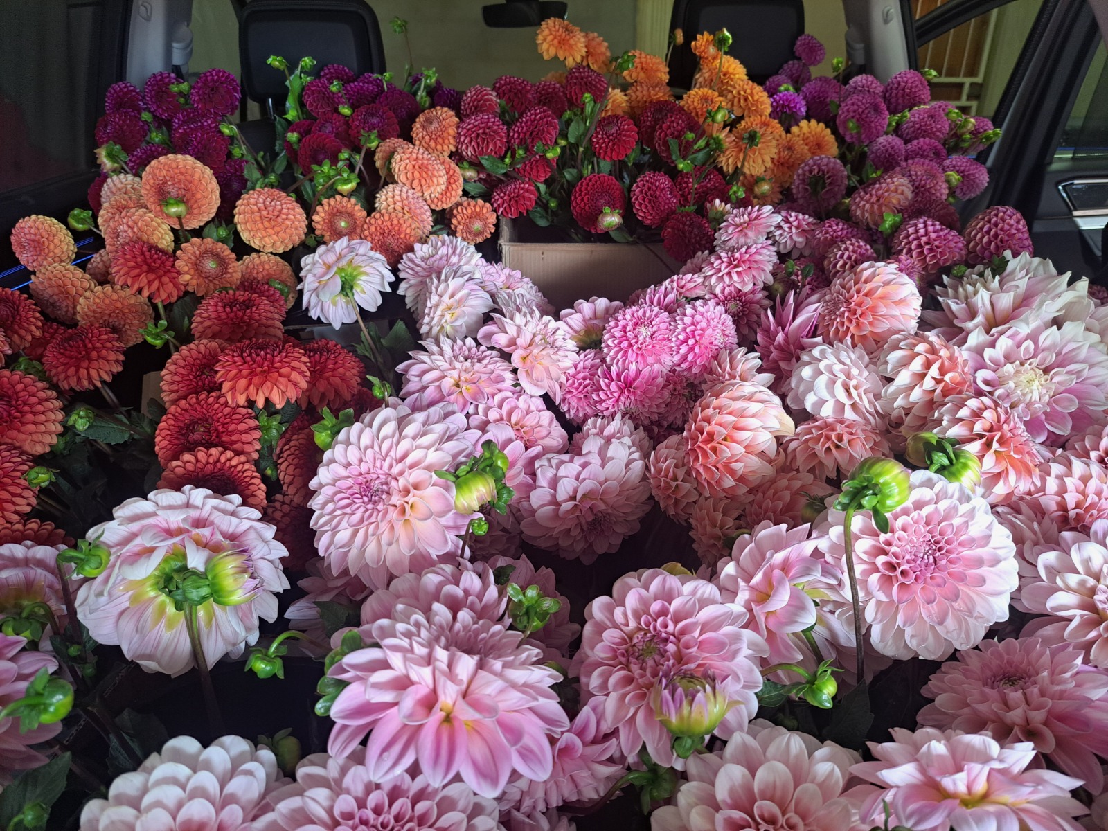 G&K Bouquets gallery 12