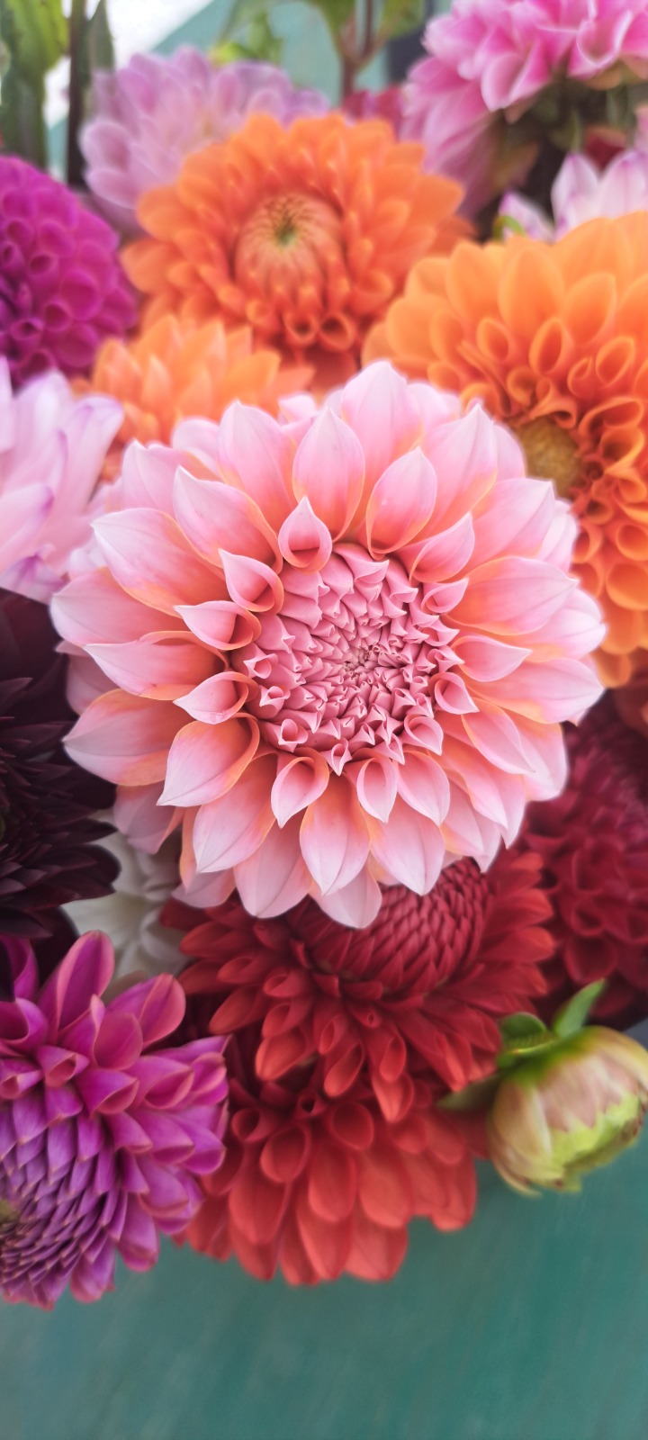 G&K Bouquets gallery 8