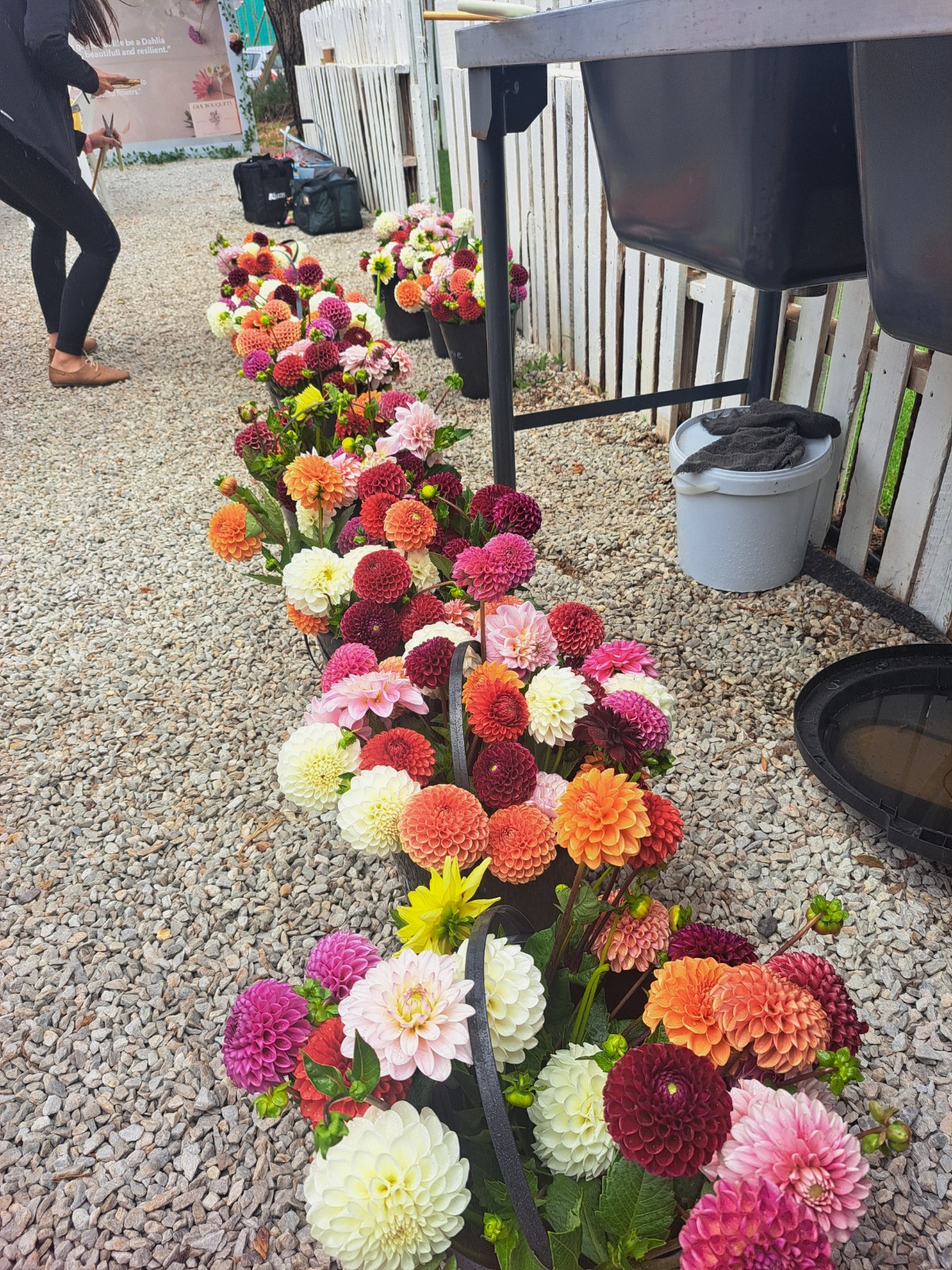 G&K Bouquets gallery 11
