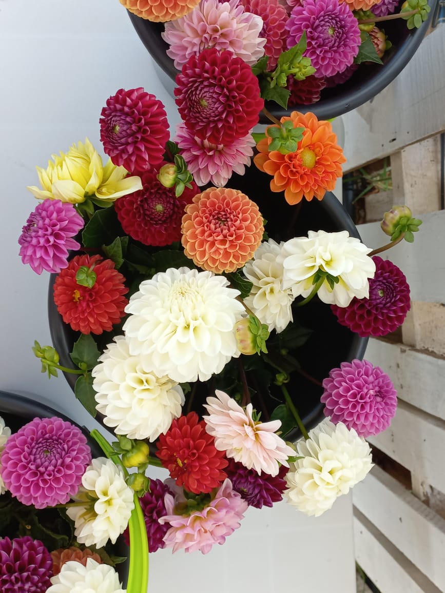 G&K Bouquets gallery 1
